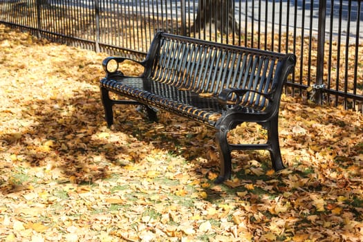 Metal bench in a park with fallen leafs during autumn