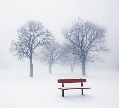 Foggy winter scene with leafless trees and red park bench