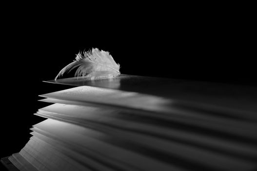 angel feather lying on the pages of an open book