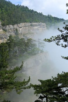 Clouds on the hillside. Coniferous forest. Tarahtash path. Crimea, Ukraine.
