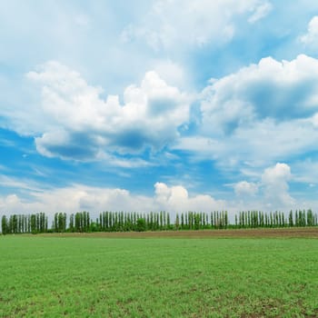 low clouds in blue sky over green field