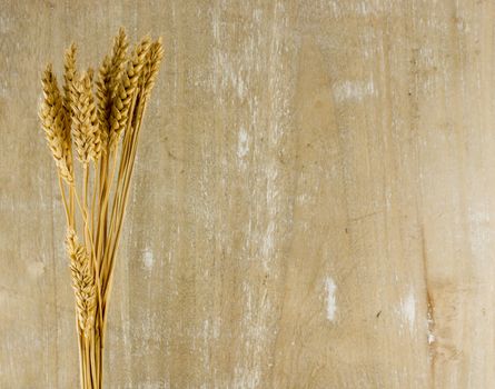 wheat plants with wooden background