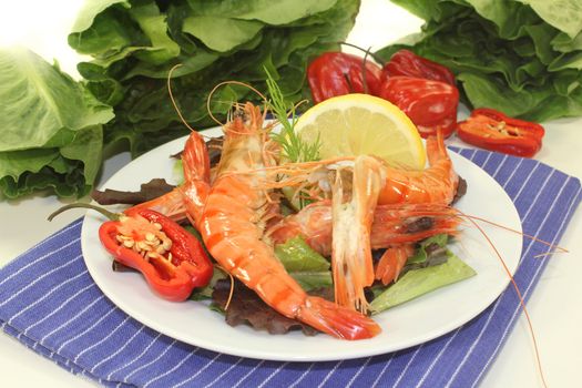 Black Tiger shrimp with lemon on curled lettuce