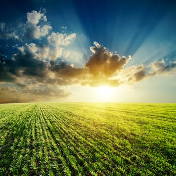 green field and sunset in cloudy sky