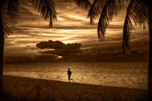 Silhouette of a person running on the beach at sunset, Key West, Monroe County, Florida, USA