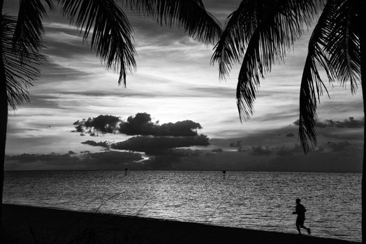 Silhouette of a person running on the beach at sunset, Key West, Monroe County, Florida, USA