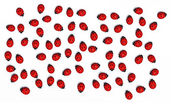 top view of a group of many red ladybugs placed in random order on a white ground