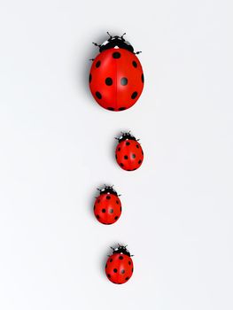 top view of a ladybug with three other smaller ones behind it placed in a row on a white ground