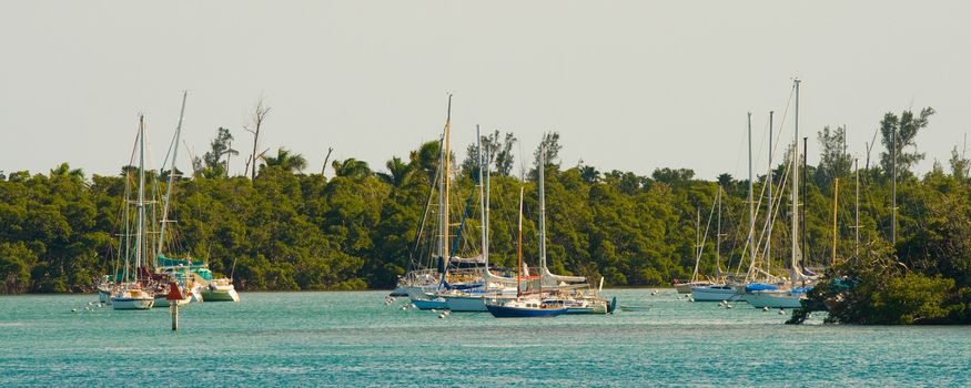 Boats in an Atlantic ocean, Miami, Miami-Dade County, Florida, USA