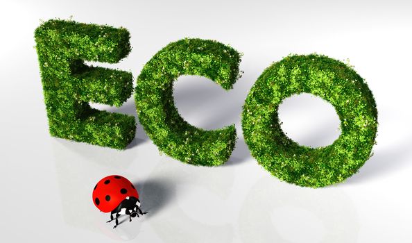 eco text covered by grass and flowers, and a small ladybug in front of it are on a white ground