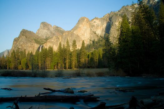 Trees in a forest with mountain in the background, Bridal Veil Falls, Yosemite Valley, Yosemite National Park, California, USA