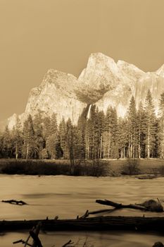 Trees in a forest with mountain in the background, Bridal Veil Falls, Yosemite Valley, Yosemite National Park, California, USA