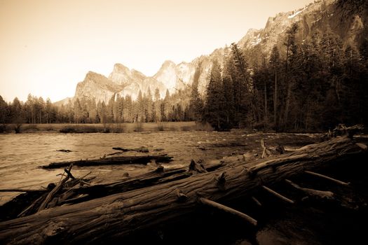 Fallen trees in a river with mountain range in the background, Bridal Veil Falls, Yosemite Valley, Yosemite National Park, California, USA