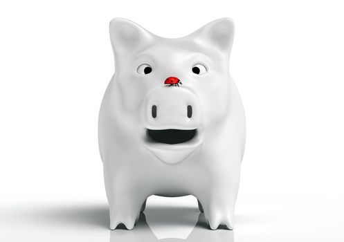 front view of a surprised white piggy bank that watches a red ladybird which stands on top of its nose, on a white background