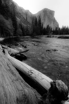 Black and white scenic view of El Capitan rock formation with river in foreground, Yosemite Valley, California, U.S.A.