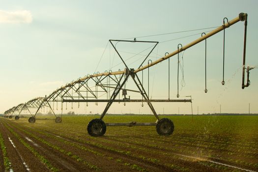 Farm irrigation system on a field in the countryside in Florida.