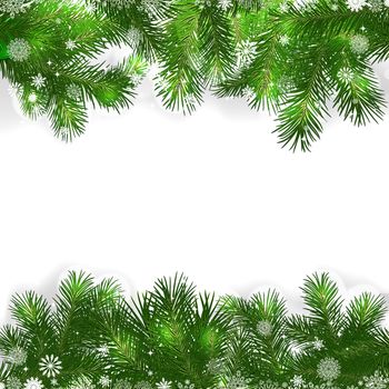 Christmas background with green branches of Christmas tree.