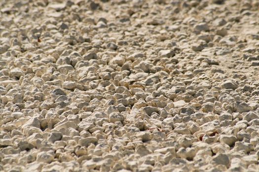 Close-up of a gravel surface