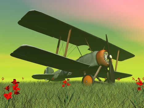 Vintage biplane standing on the green grass with flowers by sunset