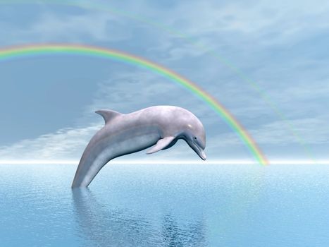 Dolphin jumping upon the ocean under rainbow by beautiful day