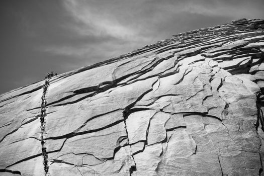 Black and white scenic view of Half Dome rock formation in Yosemite National Park, California, U.S.A.