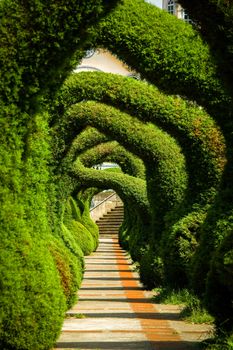 Sculpted juniper bush topiary garden in Zarcero, Costa Rica.