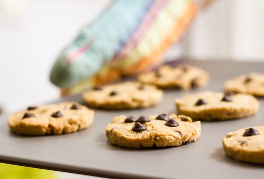 Closeup of woman with colorful kitchen gloves holding a homemade baked cookies tray