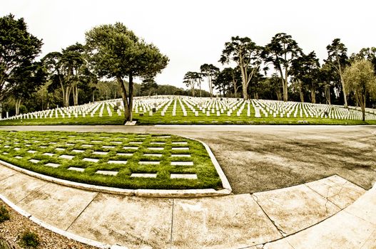 San Francisco National Military Cemetery, in San Francisco, CA, USA.