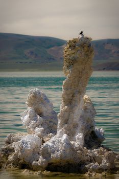 The Mono Lake, a saline soda lake in Mono County, California.