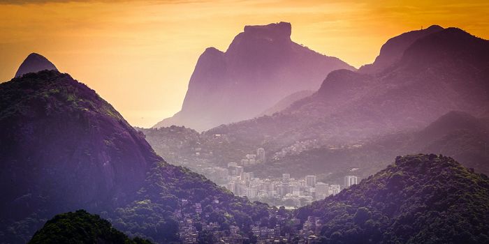Aerial view of buildings on a hill, Rio De Janeiro, Brazil
