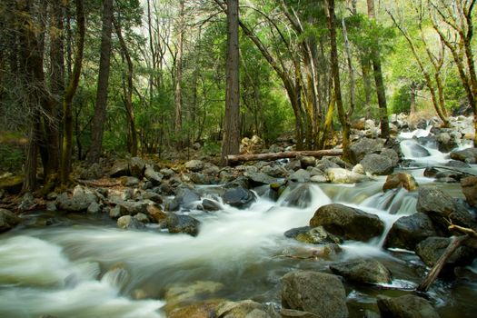 Scenic view of river flowing over rocks in forest, Yosemite National Park, California, U.S.A.