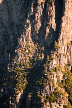 Rock Formations in a valley, Glacier Point, Yosemite Valley, Yosemite National Park, California, USA