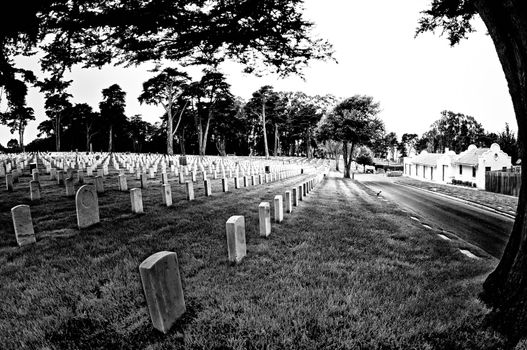 Tombstone in a cemetery, San Francisco National Cemetery, Presidio, San Francisco, California, USA