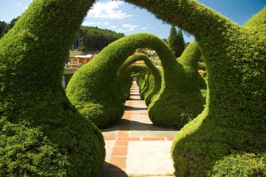 Sculpted juniper bush topiary garden in Zarcero, Costa Rica.