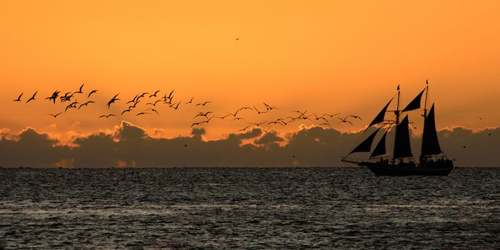 Silhouette of sailing ship in the Atlantic ocean, Key West, Monroe County, Florida, USA