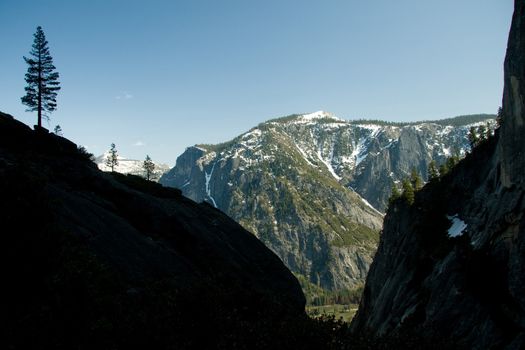 Silhouette of a tree on a mountain, Yosemite Valley, Yosemite National Park, California, USA