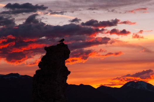 Silhouette of Tufa rock formations at dusk, Tioga Pass, Yosemite National Park, California, USA