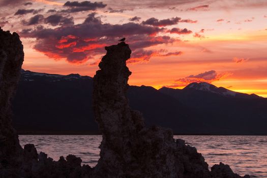 Silhouette of Tufa rock formations at dusk, Mono Lake, Tioga Pass, Yosemite National Park, California, USA