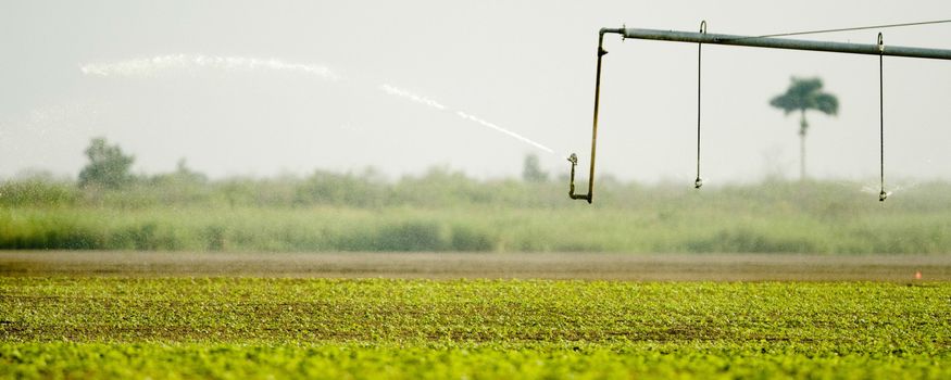 Agricultural sprinkler in a field, Miami, Miami-Dade County, Florida, USA