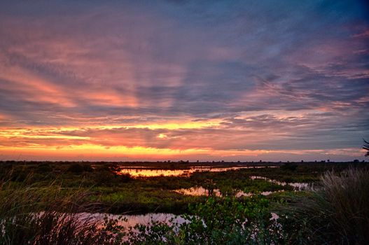 Sunset at Merritt Island, Brevard County, Florida, USA