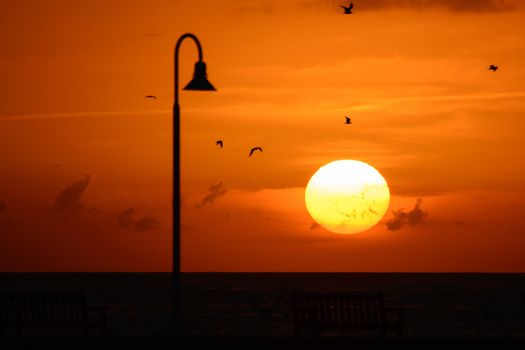 Silhouette of a pier at sunset, Key West, Monroe County, Florida, USA