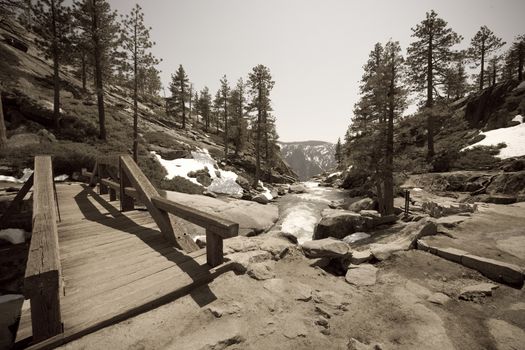 Trees on mountain, Yosemite Valley, Yosemite National Park, California, USA