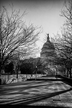 The United States Capitol building in Washington DC.