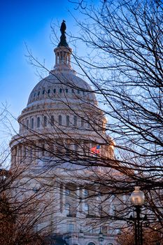 Low angle view of a government building, US Capitol Building, Washington DC, USA