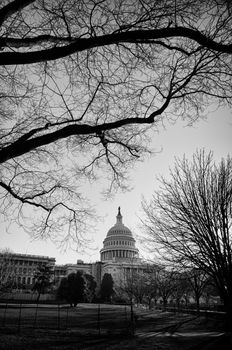 US Capitol Building in Washington DC, USA