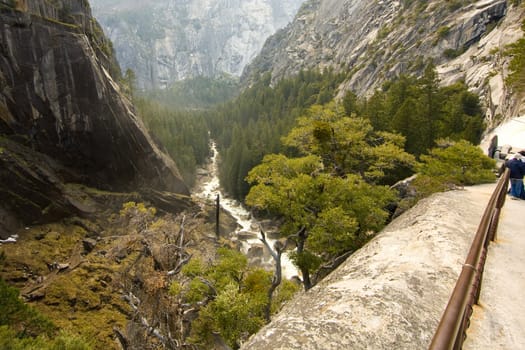 Trees in a valley, Vernal Falls, Yosemite National Park, California, USA