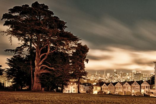 Victorian style houses on the Steiner Street with skylines in the background, Alamo Square Park, Alamo Square, San Francisco, California, USA