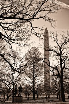 Washington Monument viewed through bare branched trees in park, Washington, D.C, U.S.A.