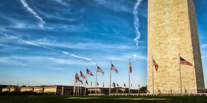 Low angle view of Washington Monument, Washington DC, USA