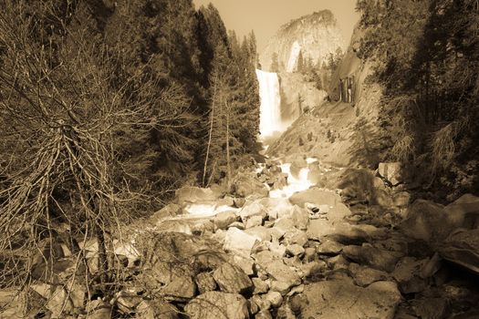 Waterfall in a forest, Yosemite Mist Trail, Vernal Falls, Yosemite National Park, California, USA